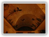 Indoor_Pool_Ceiling